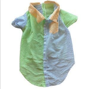 XXL dog preppy shirt